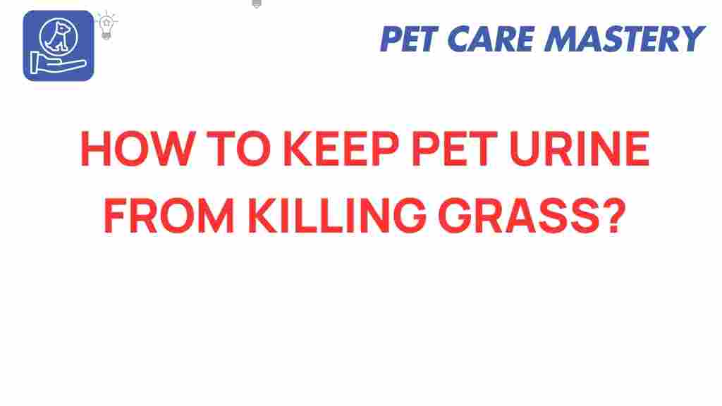 pet-urine-lawn-care-solutions