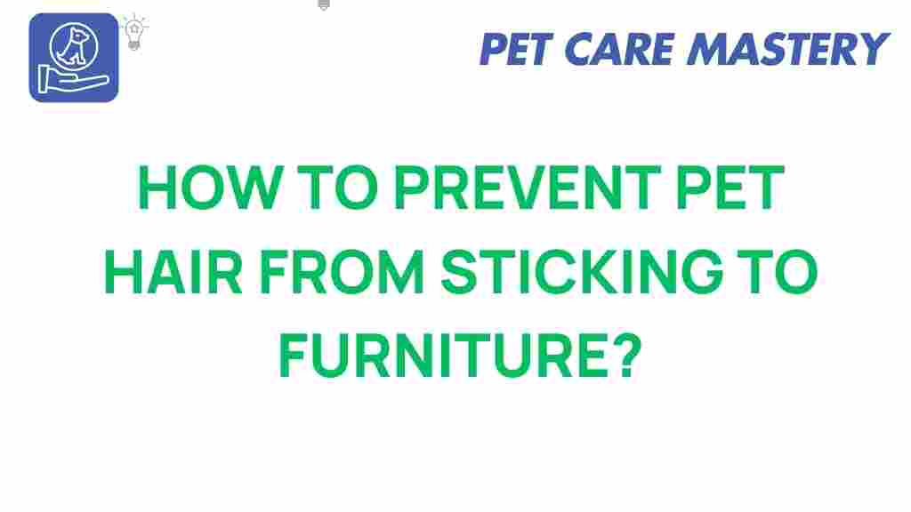 pet-hair-prevent-furniture