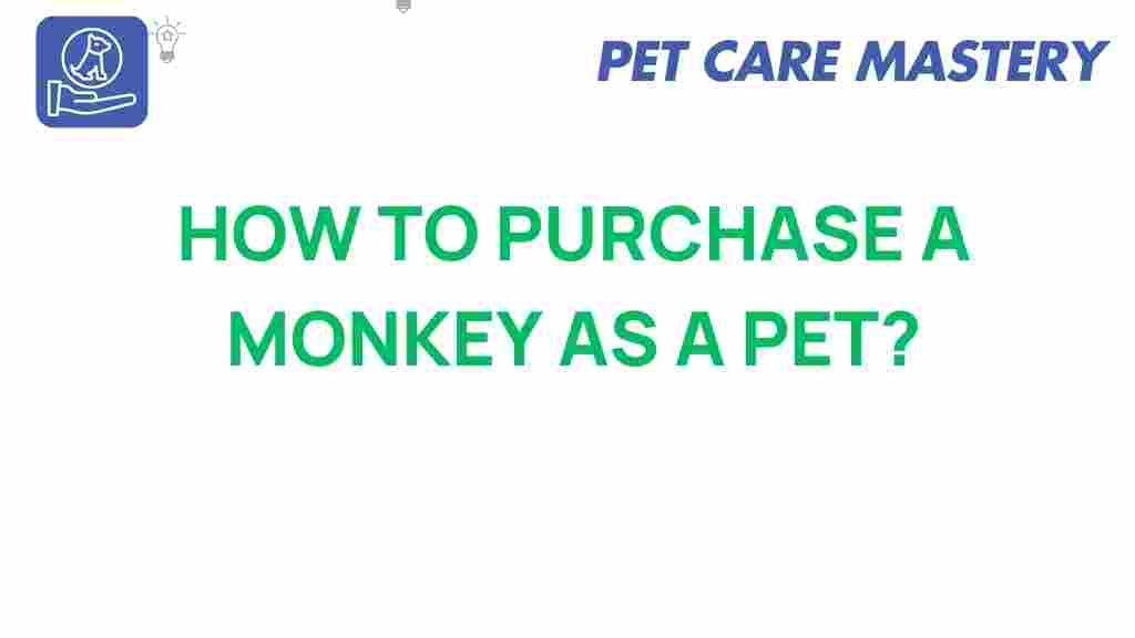 monkey-pet-purchase-guide