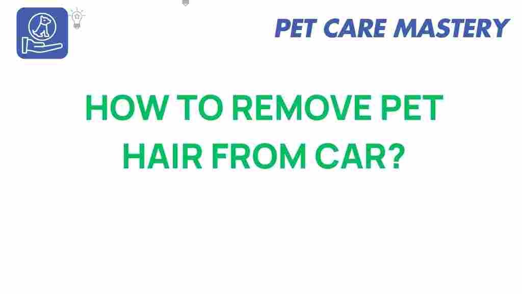 pet-hair-removal-from-car