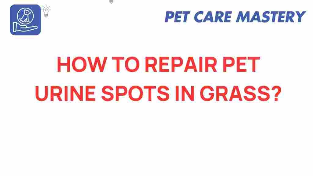 pet-urine-lawn-repair