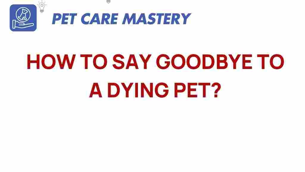 how-to-say-goodbye-to-a-dying-pet