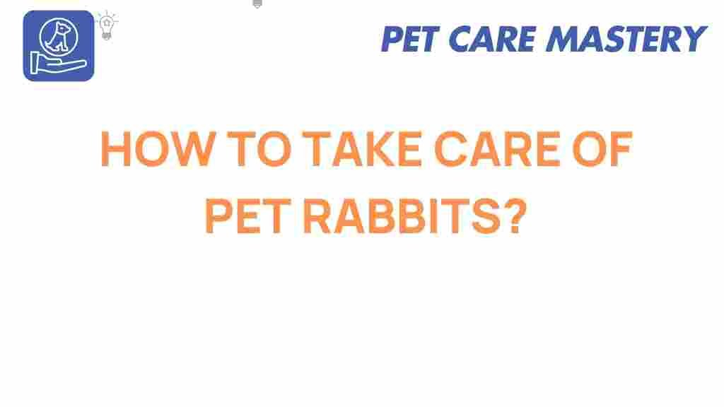pet-rabbits-care-tips