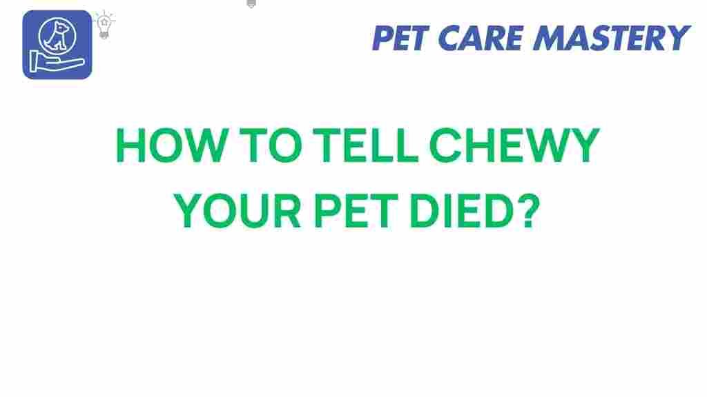 pet-loss-chewy-conversation