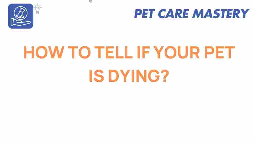 pet-health-how-to-tell-if-your-pet-is-dying