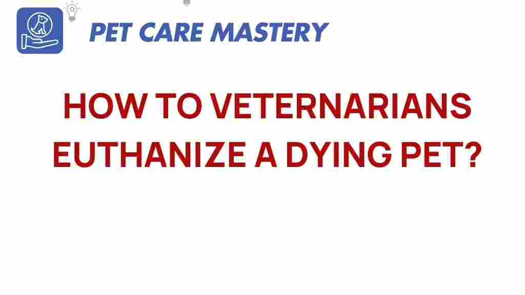 veterinarians-euthanasia-pet