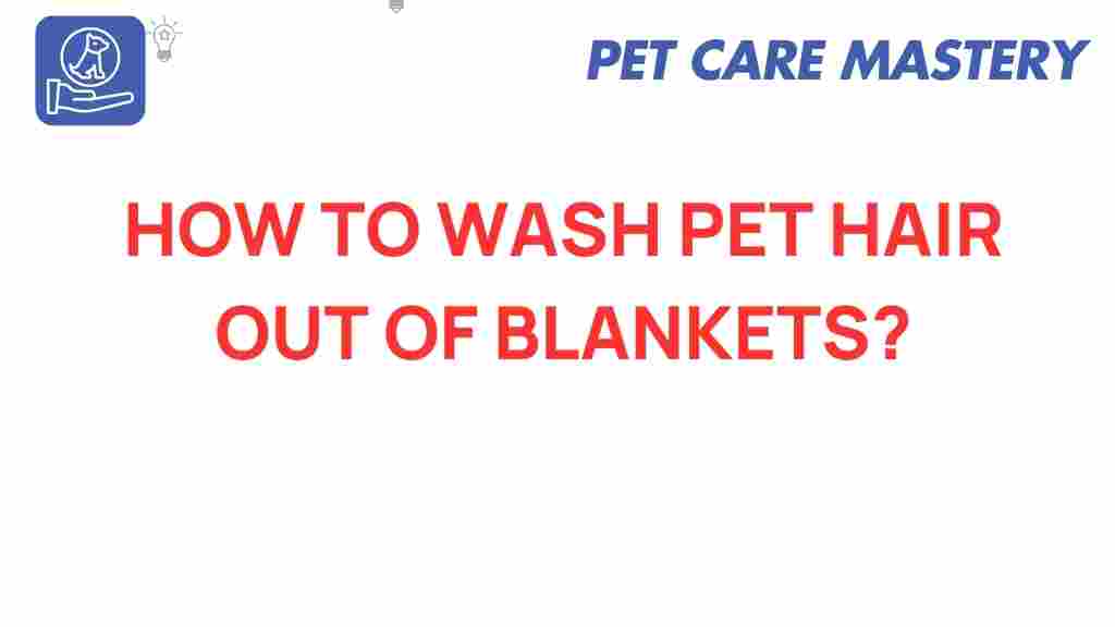 pet-hair-removal-blankets