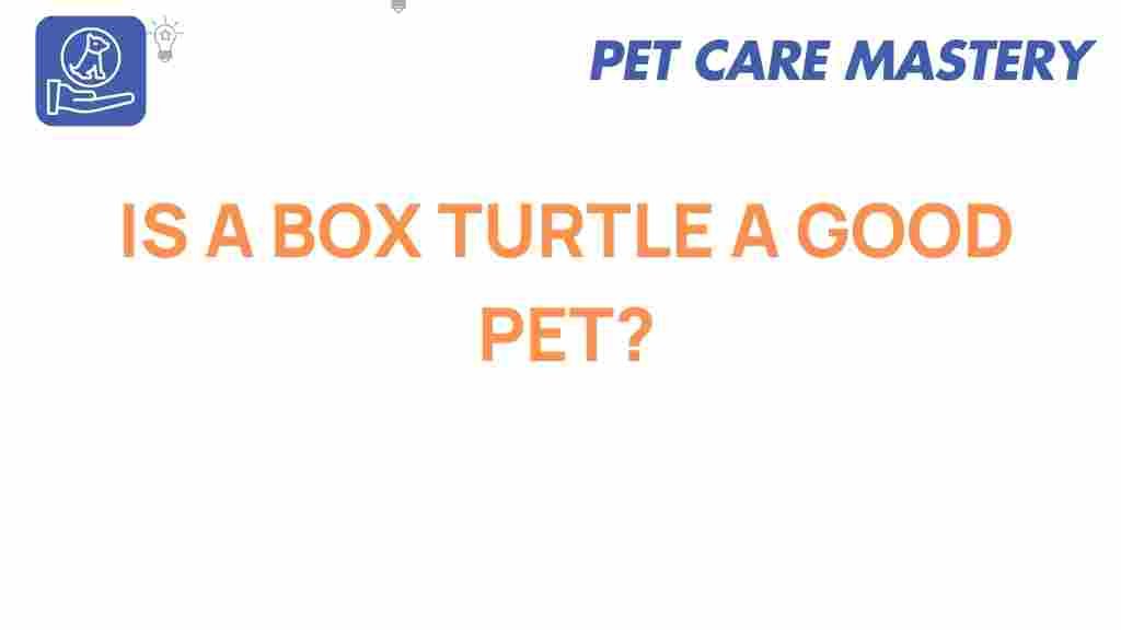 box-turtle-good-pet