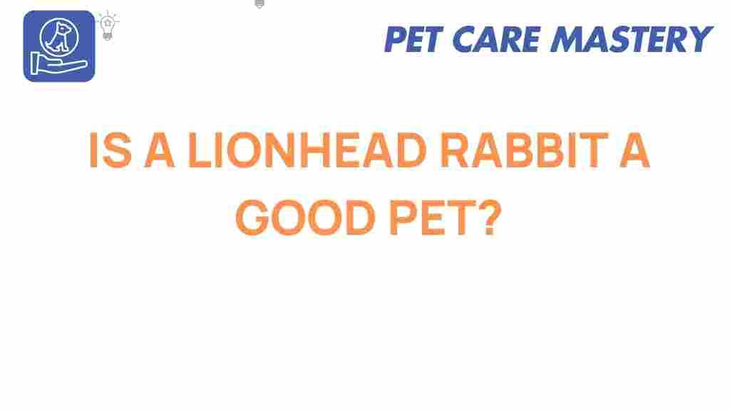 lionhead-rabbit-good-pet