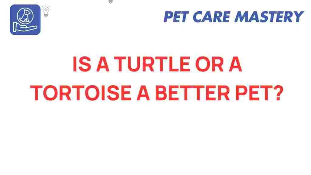 turtle-vs-tortoise-pet-choice