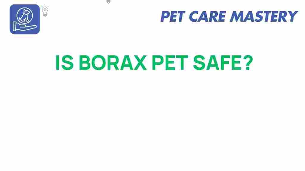 borax-pet-safe