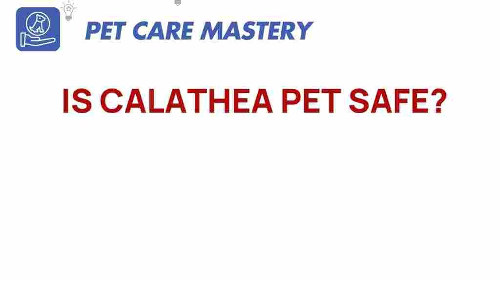 calathea-pet-safe