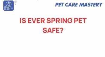 Is Ever Spring Pet Safe? Unveiling the Truth Behind Pet Products