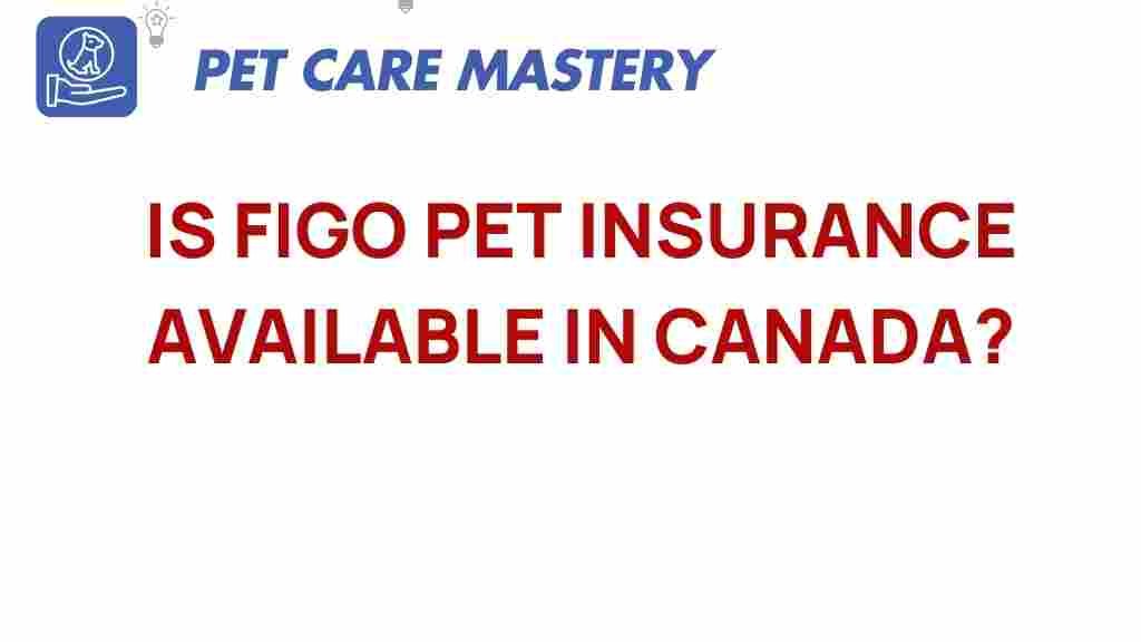 figo-pet-insurance-canada