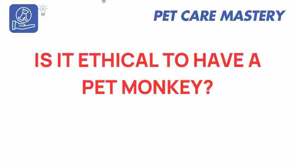 pet-monkeys-ethical-dilemma