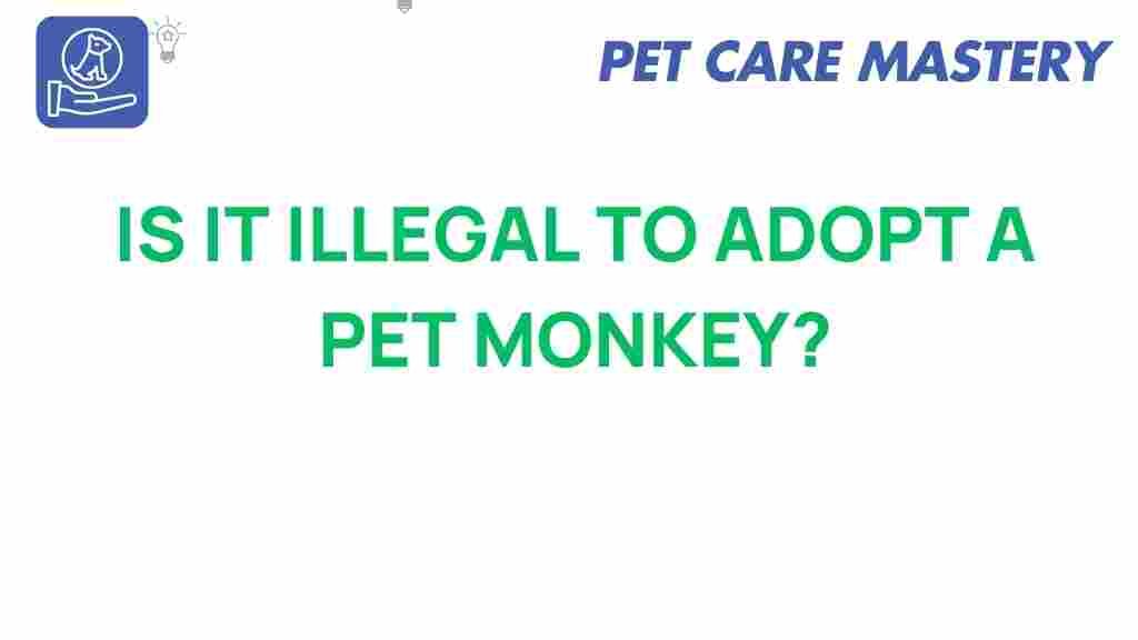 pet-monkey-adoption-laws