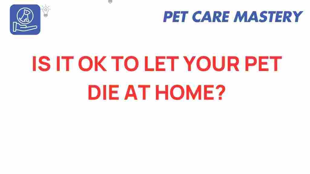 pet-euthanasia-home-death