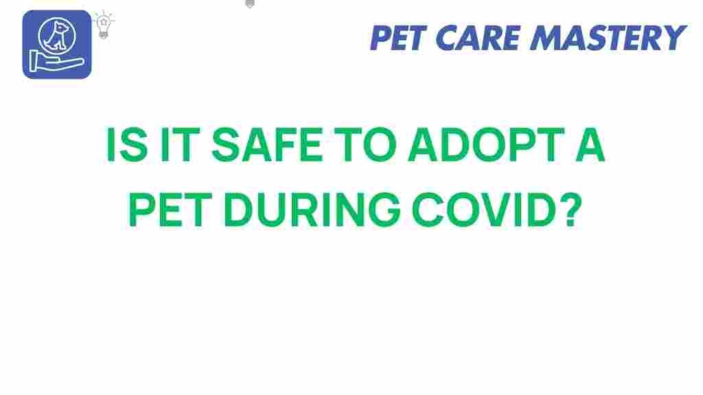 adopt-pet-during-covid