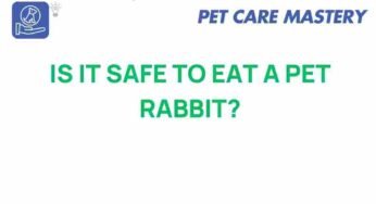 Is It Safe to Eat a Pet Rabbit? Unpacking the Controversy