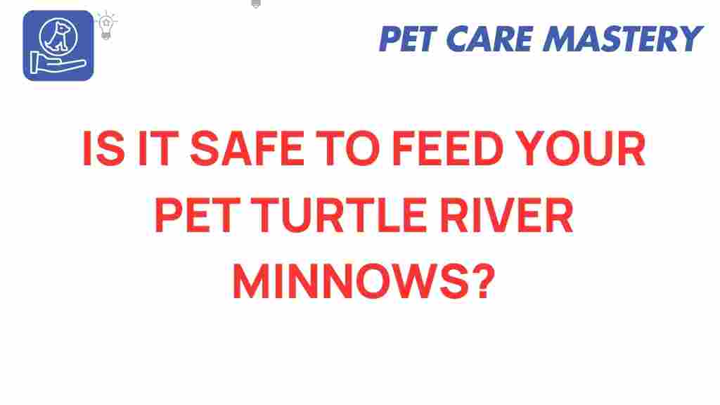 river-minnows-pet-turtle-safety