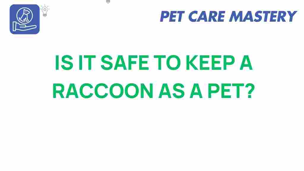 raccoon-pets-safety