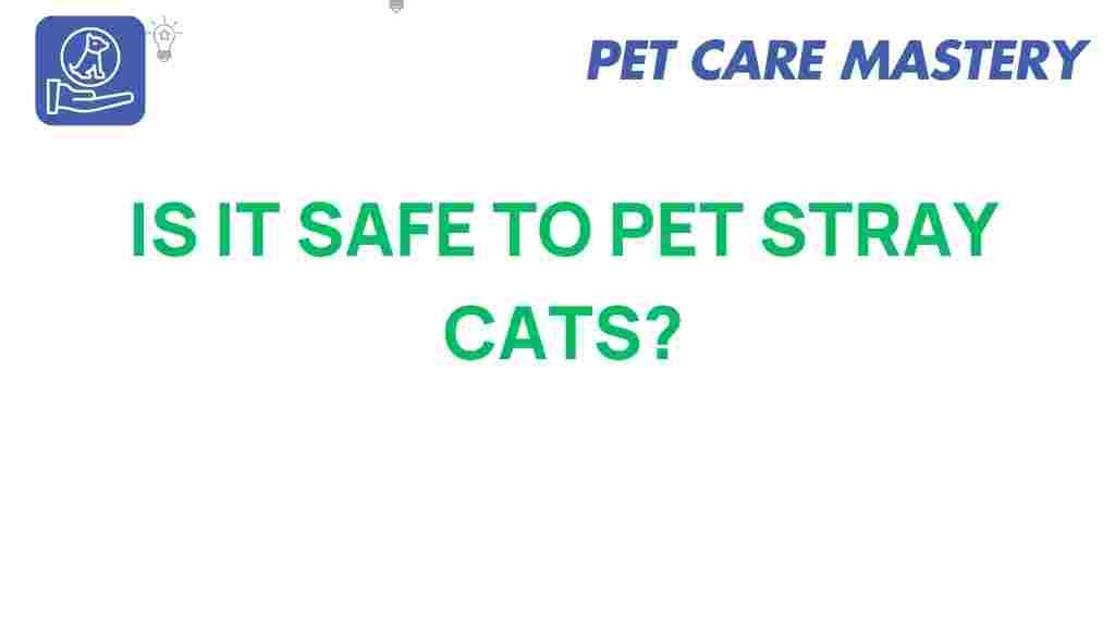 stray-cats-pet-safety