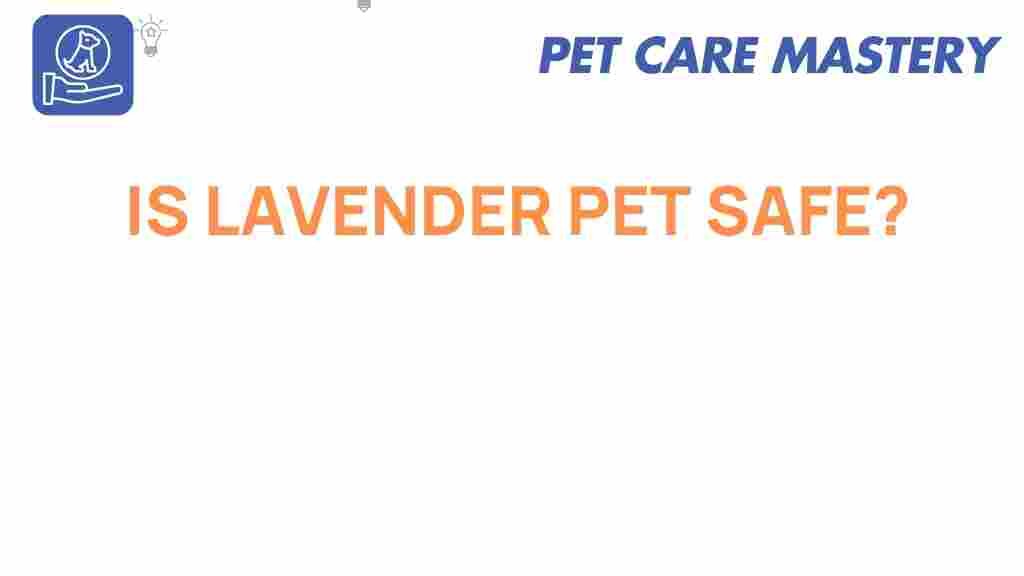 is-lavender-pet-safe