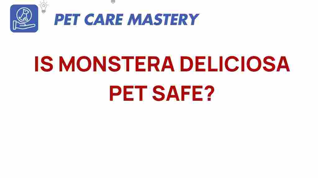 monstera-deliciosa-pet-safe