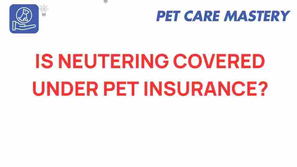 neutering-covered-pet-insurance