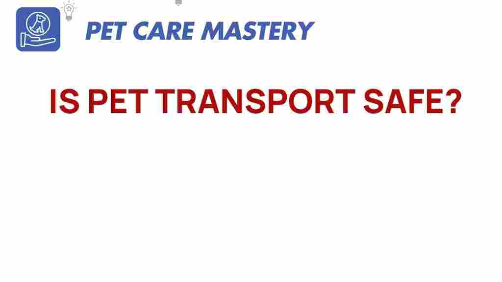 pet-transport-safe