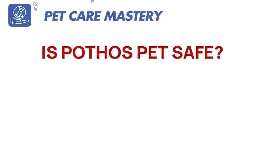 pothos-pet-safe