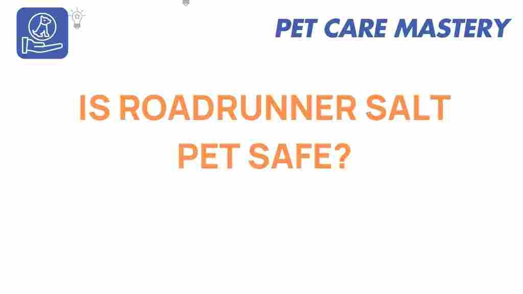 roadrunner-salt-pet-safe