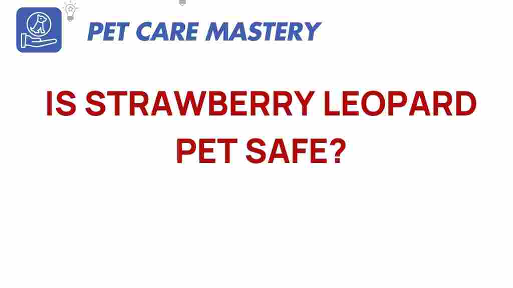 strawberry-leopard-pet-safe