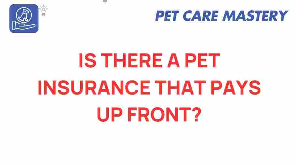 pet-insurance-pay-up-front