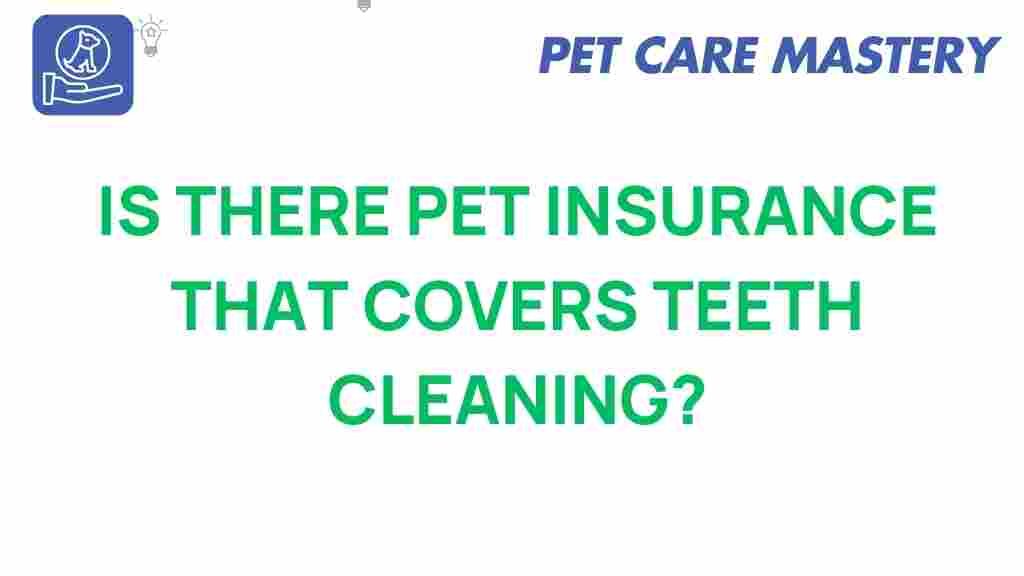 pet-insurance-teeth-cleaning