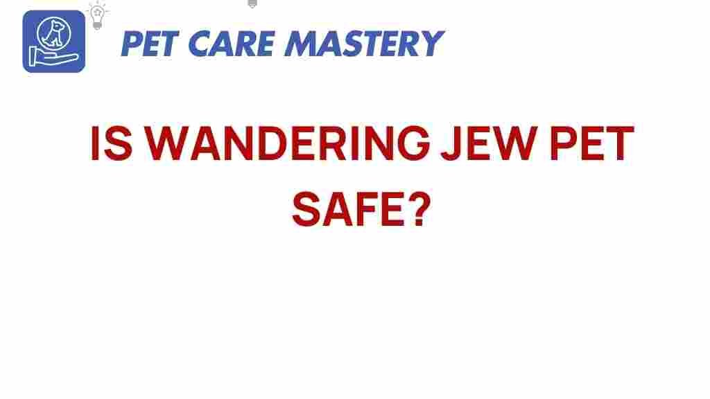 wandering-jew-pet-safety