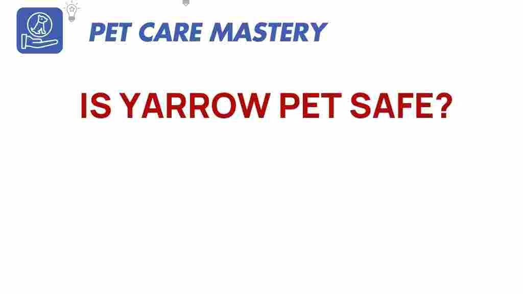 yarrow-pet-safe