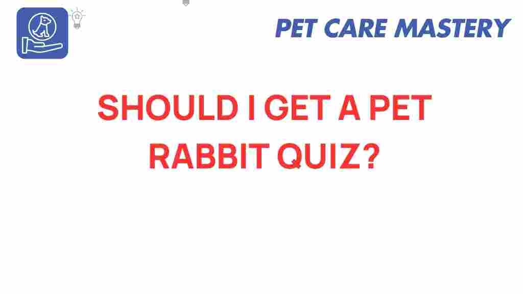 pet-rabbit-quiz