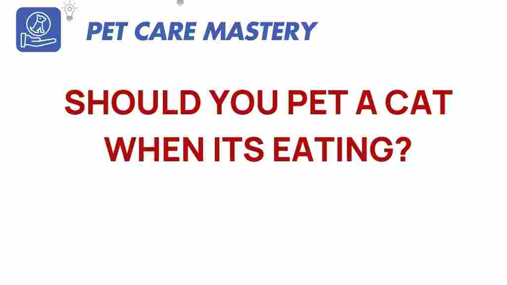 should-you-pet-a-cat-when-its-eating