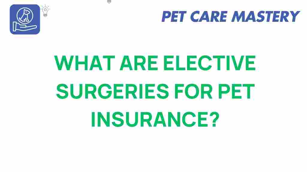 elective-surgeries-pet-insurance