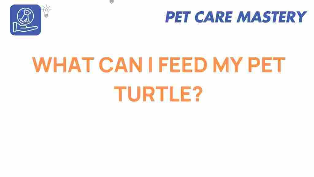 what-can-i-feed-my-pet-turtle