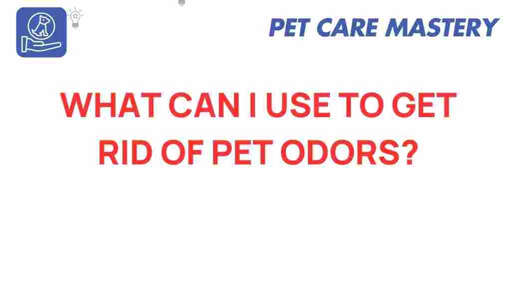 pet-odors-removal-solutions