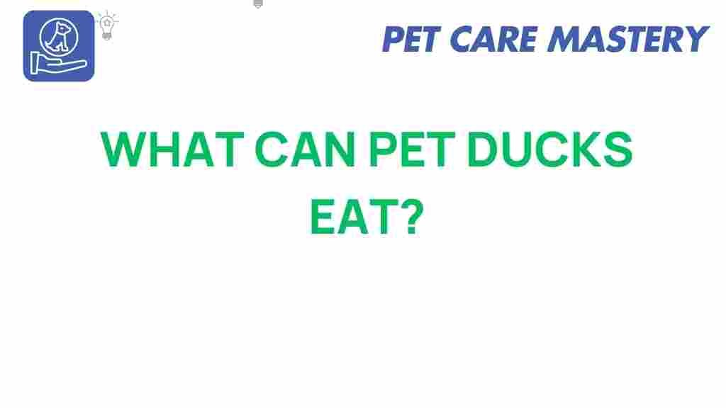 pet-ducks-eat-optimal-health