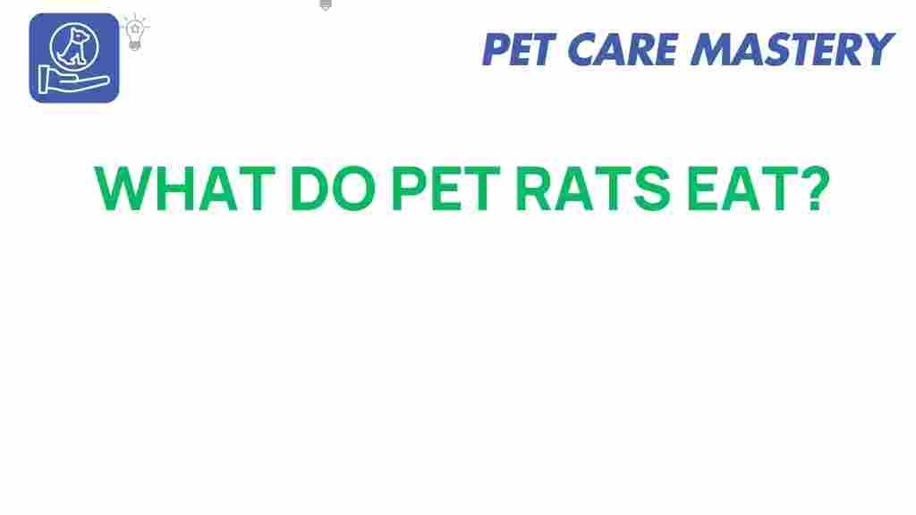 what-do-pet-rats-eat