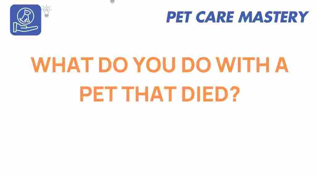 pet-loss-navigating-heartbreak