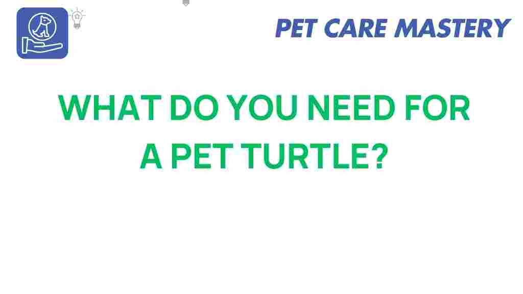 pet-turtle-care-guide