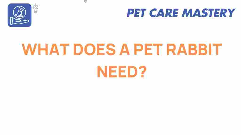 pet-rabbit-care-essentials