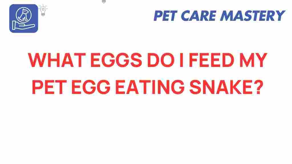 pet-snakes/egg-eating-snake-diet