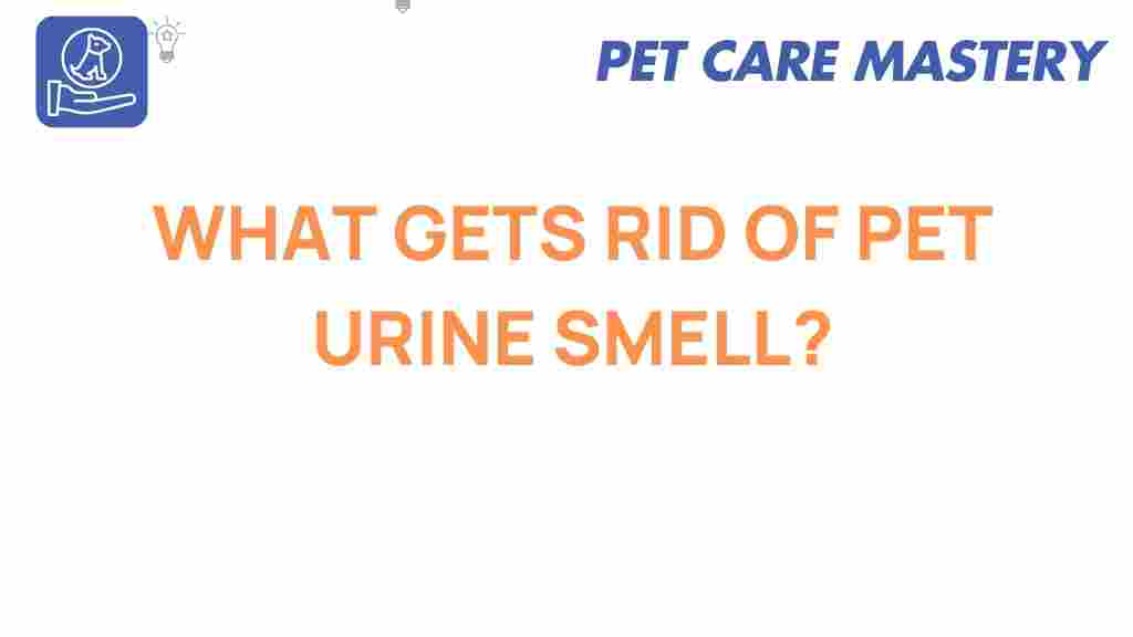 pet-urine-smell-elimination