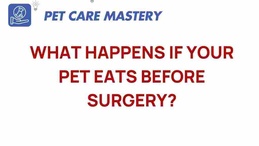 pet-surgery-eating-before